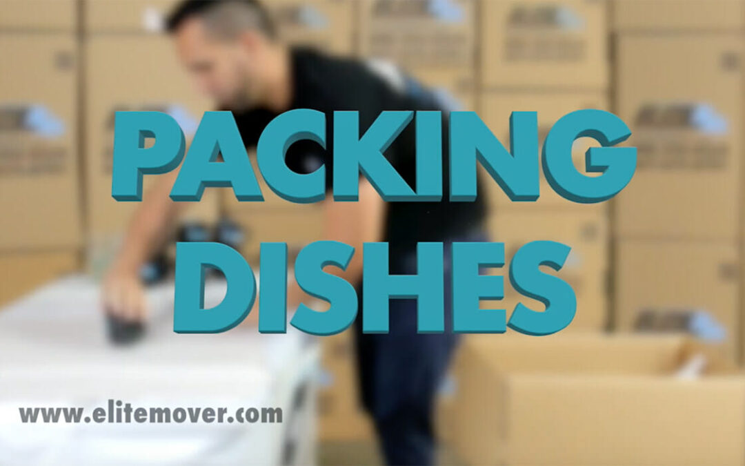 How to Pack Your Dishes in a DishPack