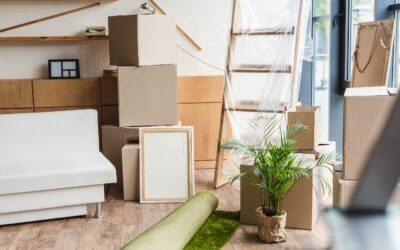 How To Make Your Move Eco-Friendly